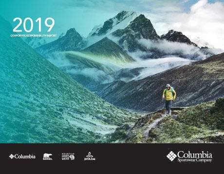 2019 Report
